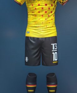 Kits (shirt/shorts/socks)