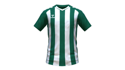 Hummel Club Stripe Jersey - Evergreen-White