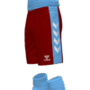 Hummel Match Shorts - Maroon-Argentina Blue