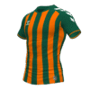 Hummel Stripe Jersey - Evergreen-Orange Tiger