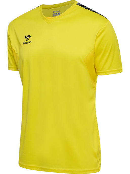 Hummel Authentic PL Jersey