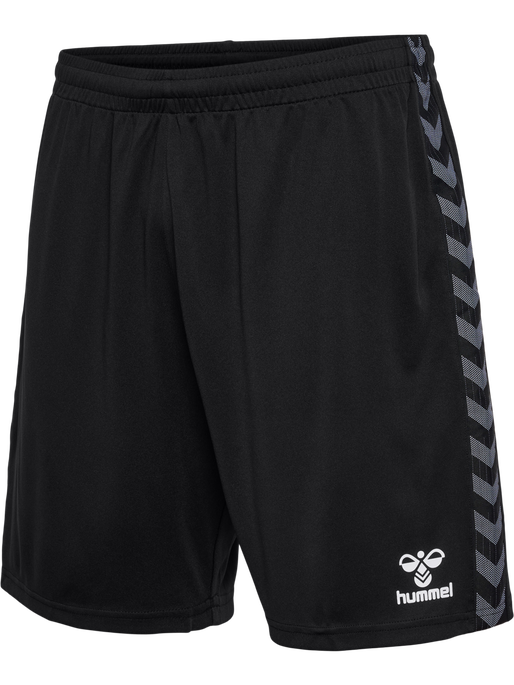 Hummel Authentic PL Shorts