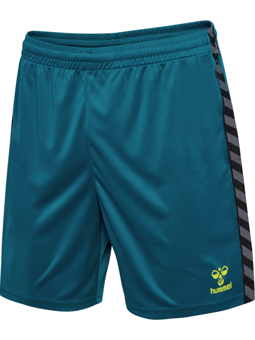 Hummel Authentic PL Shorts