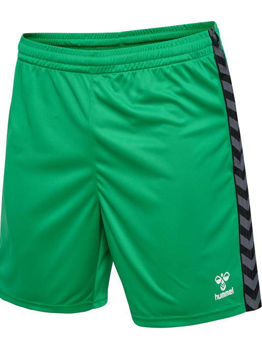 Hummel Authentic PL Shorts