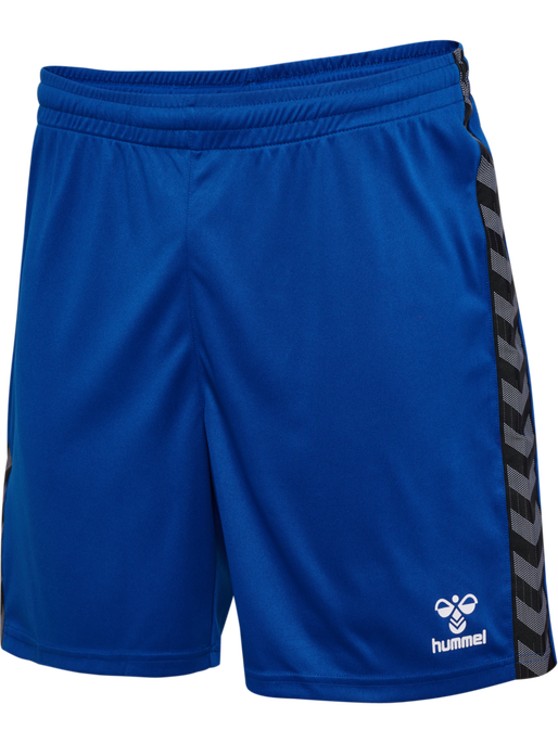 Hummel Authentic PL Shorts