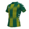 Hummel Barca Jersey - Evergreen-Sports Yellow