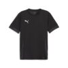 Puma TeamGOAL Match Day Jersey