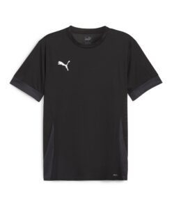 Puma TeamGOAL Match Day Jersey