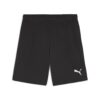 Puma TeamGOAL Shorts