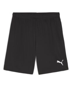 Puma TeamGOAL Shorts